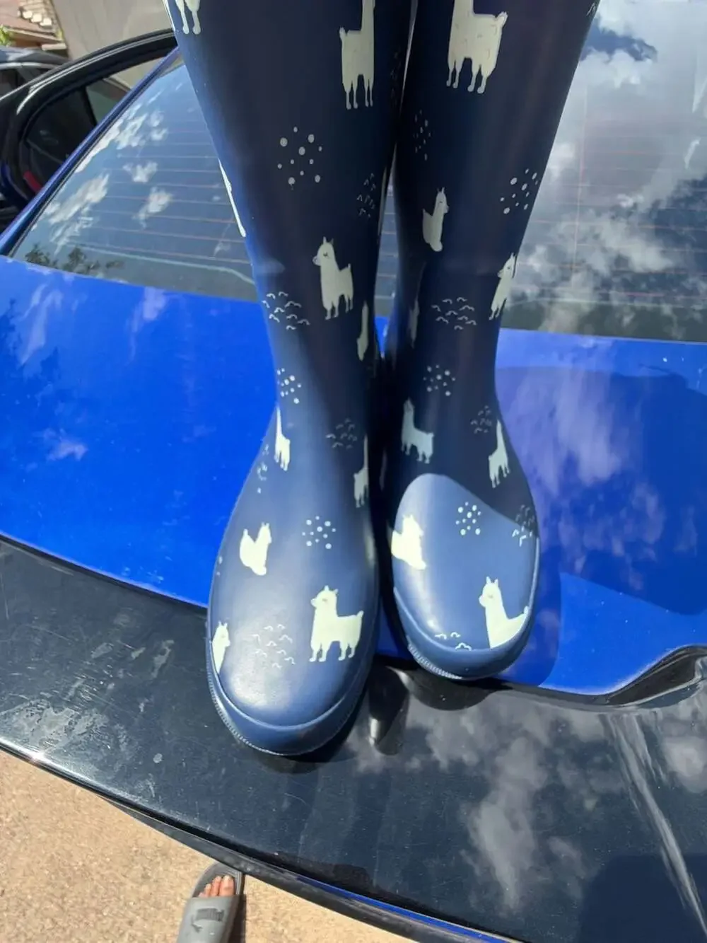 Women's Llama-Rama Tall Rain Boot - Navy – ,
